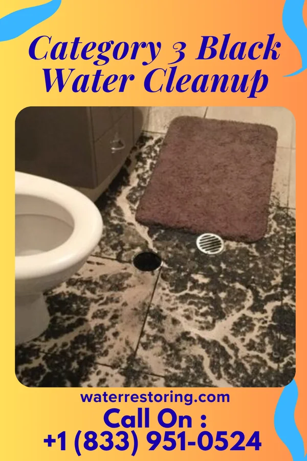 Category 3 Black Water Cleanup in Kistler, PA