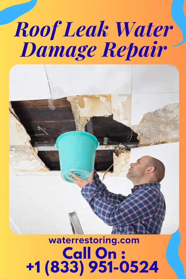 Roof Leak Water Damage Repair in Kistler, PA