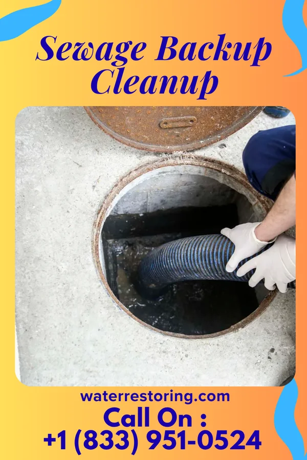 Sewage Backup Cleanup in Kistler, PA